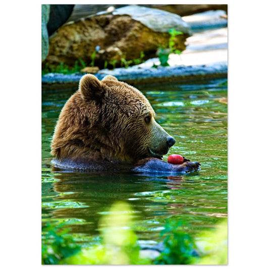 Premium Poster auf mattem Papier